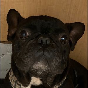 Meet your Posher, Sharon